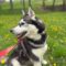 Mishka