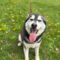 Mishka