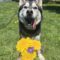 Mishka