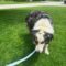 Shilo