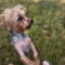 Maddie *