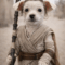 Rey