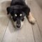 Jenny